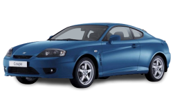 2D коврики EVA в салон и багажник на Hyundai Tiburon II (2001-2007)