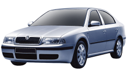 2D коврики EVA в салон на Skoda Octavia I A4 лифтбек (1996-2010)
